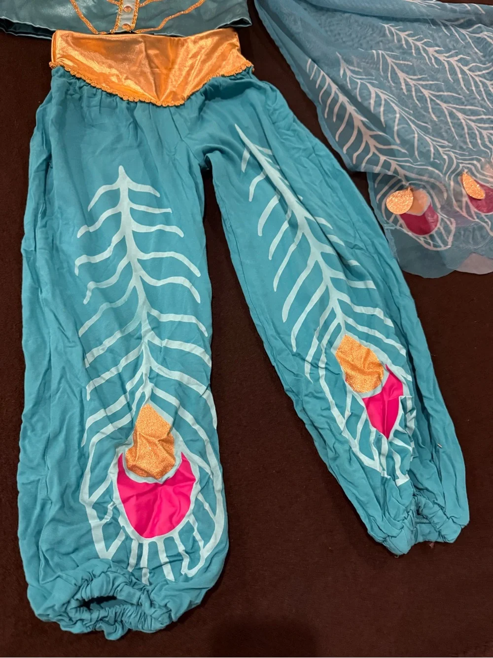 Disney Princess Jasmine Teal and Gold Peacock-Inspired Princess Costume